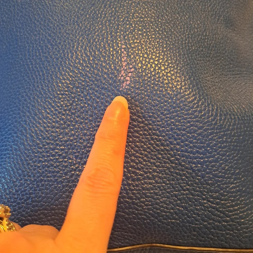 Michael Kors Blue Bag